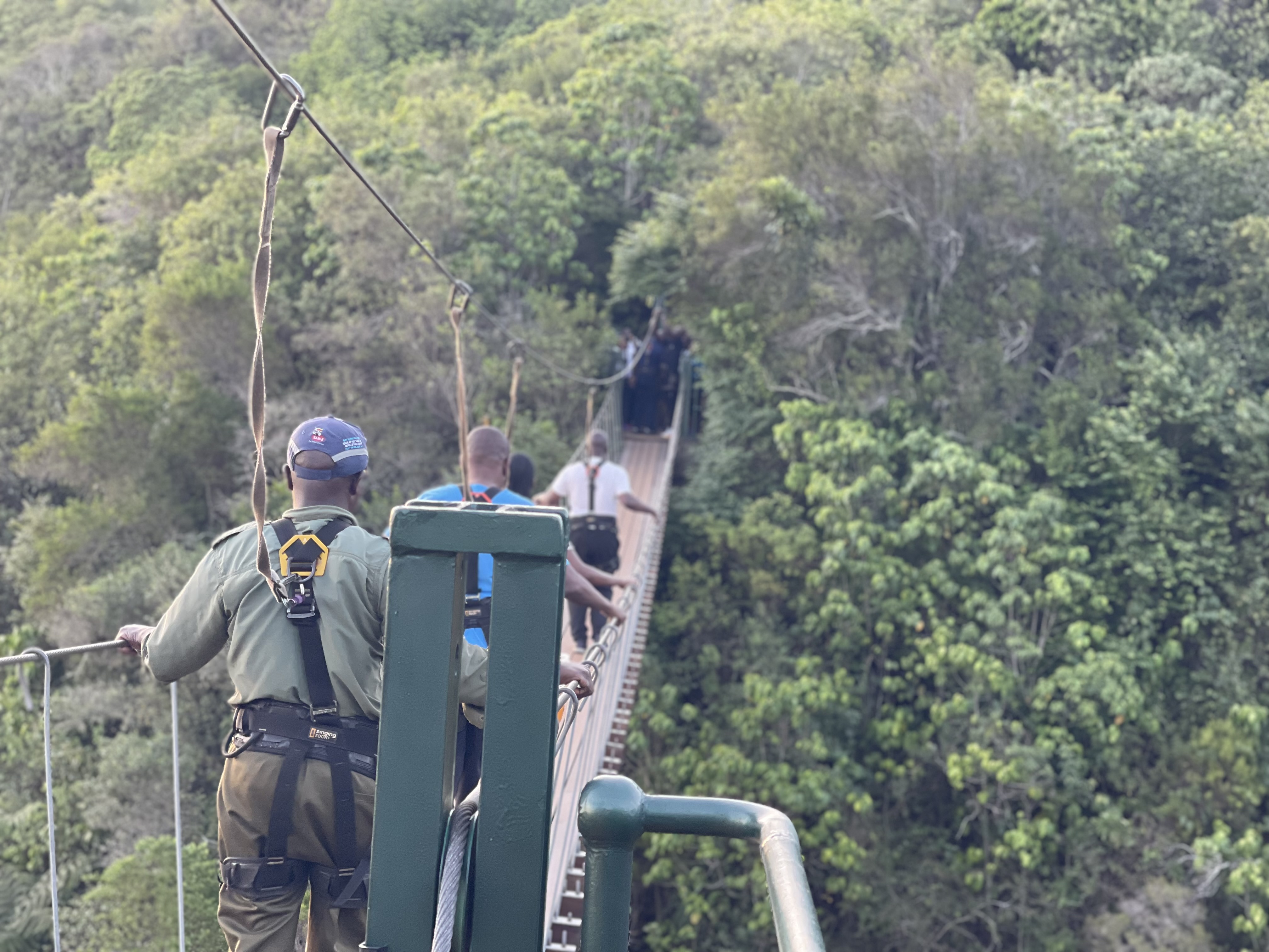 Mutarazi Falls – Zimbabwe’s Tallest Waterfall